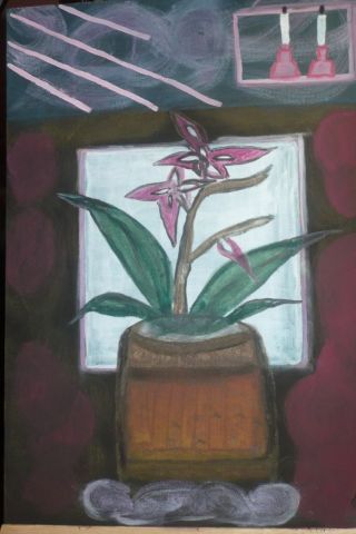 l'orchidée